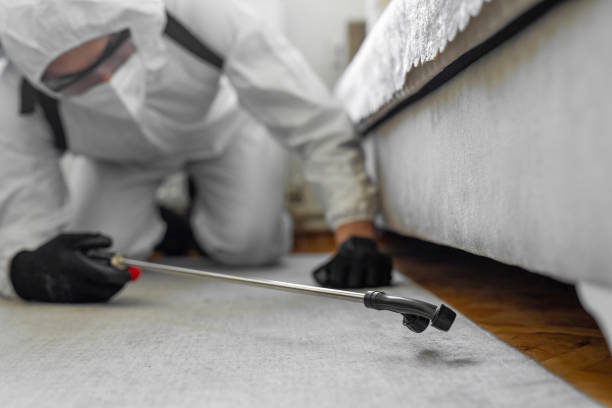 Professional Emergency Pest Control technician working in Lac qui Parle County County, MN